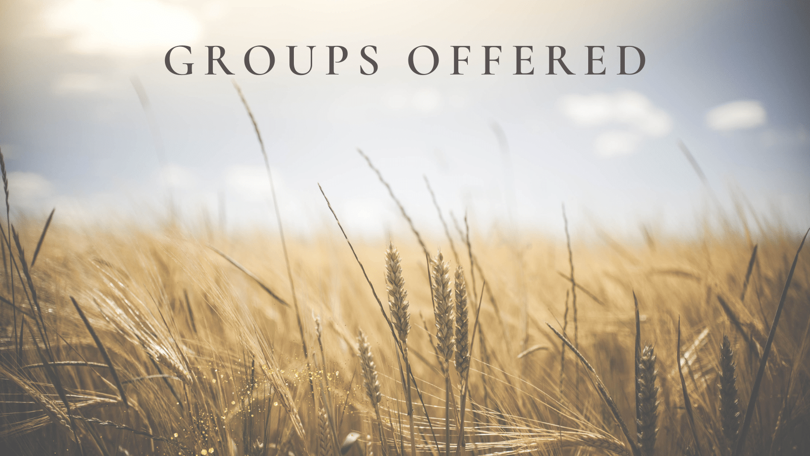 Beyond Healing Counseling & Wellness Center Groups Offered (1) - Beyond Healing Counseling