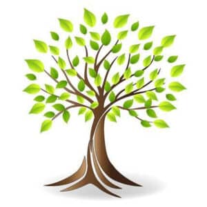 Beyond Healing Tree Events Calendar
