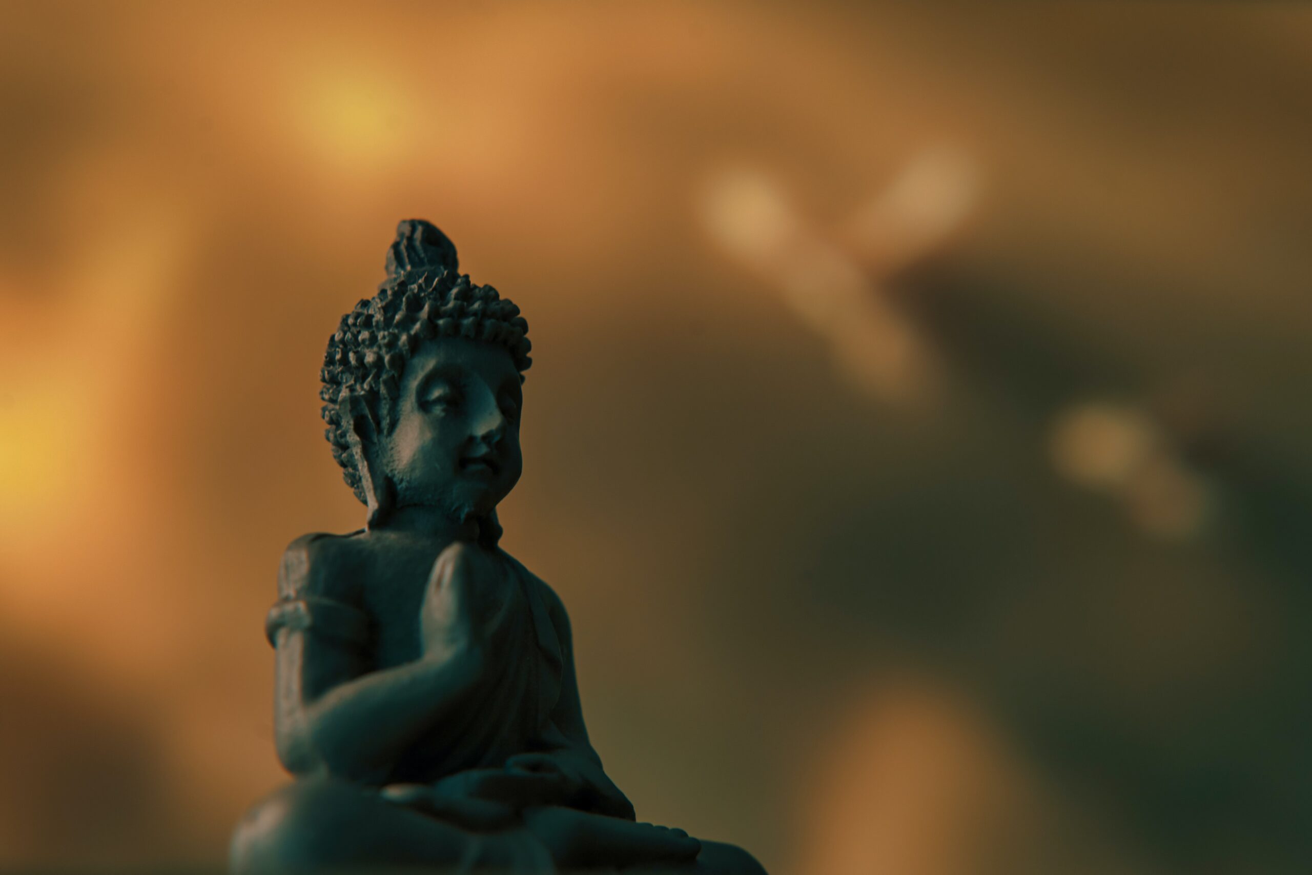 jr-korpa-XEJDsC5Tzec-unsplash - Beyond Healing Counseling