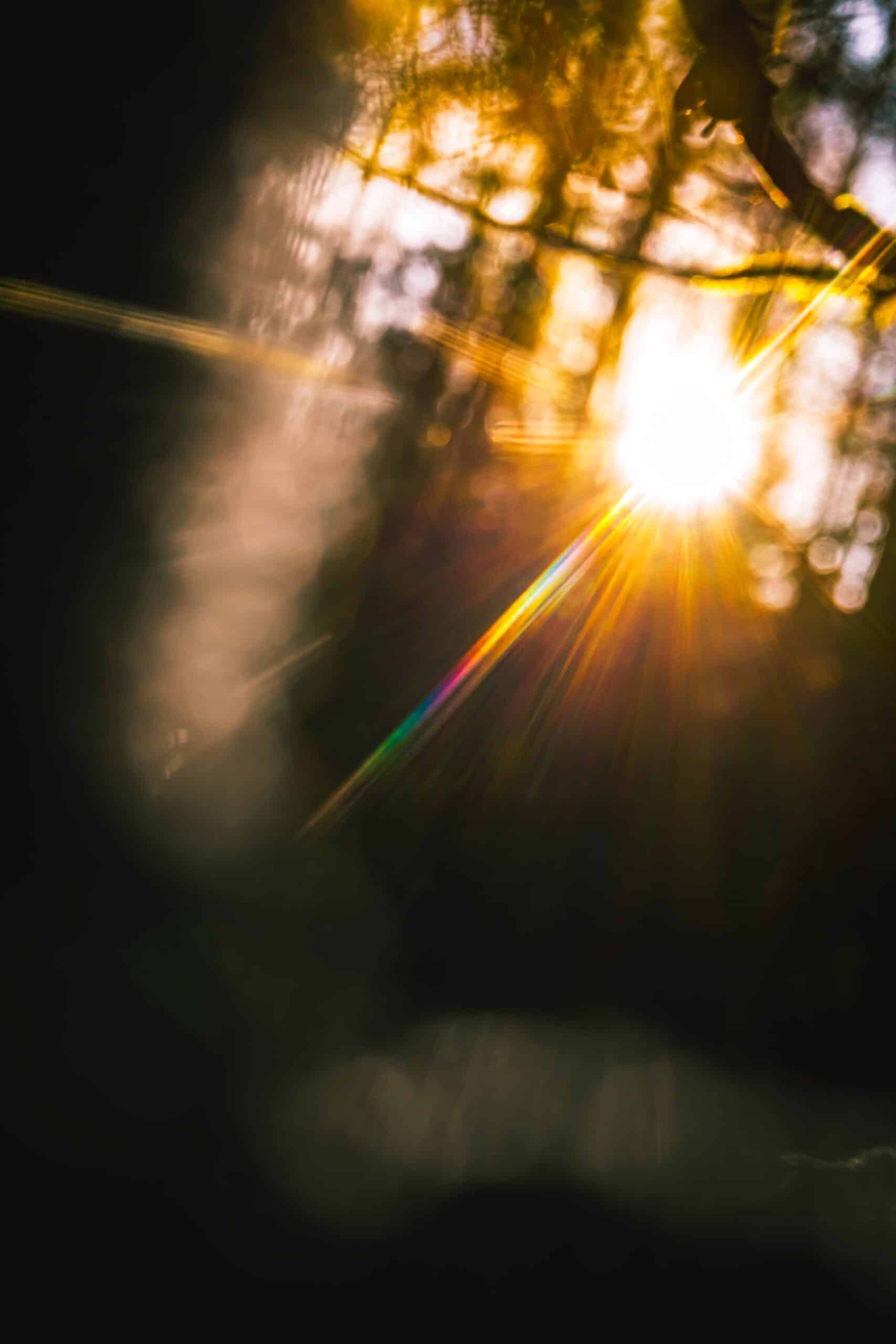 raphael-renter-VO_c55zvyrk-unsplash - Beyond Healing Counseling