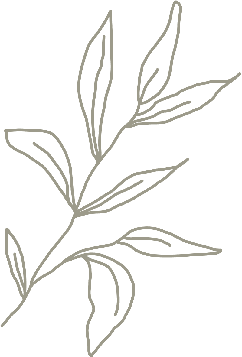 wellness-1 - Beyond Healing Counseling